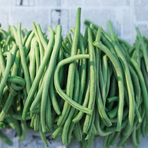 Cluster Beans