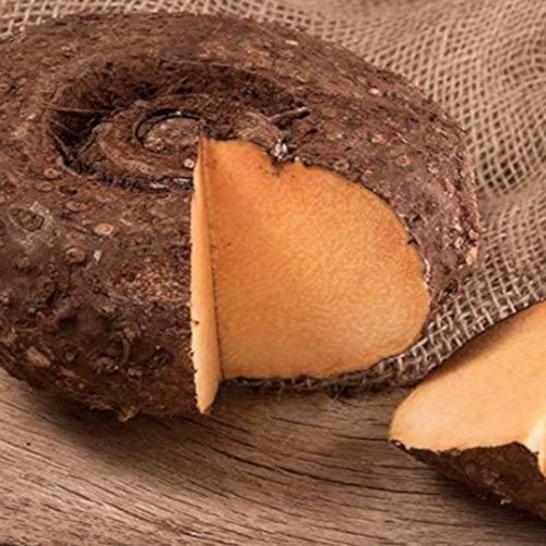 Elephant Yam (Suran)