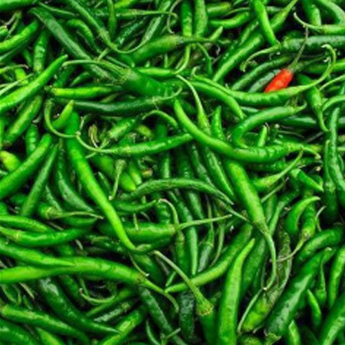 G4 Green Chilli