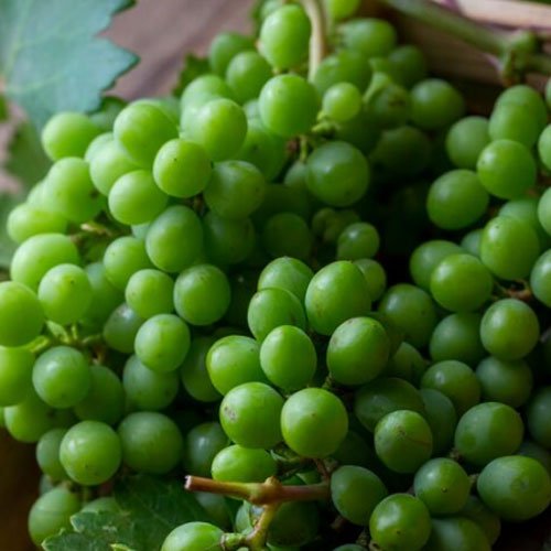 Grapes Green