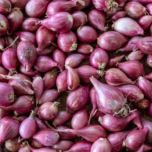 Shallots